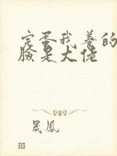 完蛋我养的小白脸是大佬