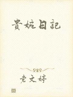 贵婉日记封面