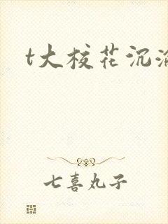 t大校花沉沦