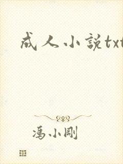 成人小说txt