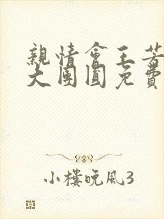 亲情会王芳高敏大团圆免费阅读