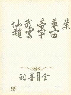 仙武帝尊叶辰去赵云宇宙