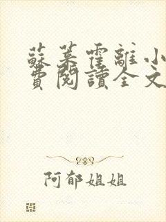 苏莱霍离小说免费阅读全文封面