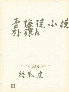 青梅从小摸到大补课h封面