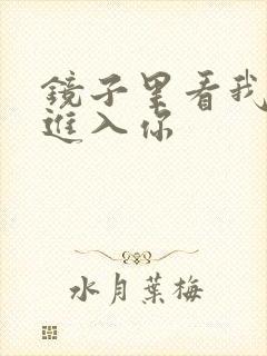 镜子里看我怎么进入你