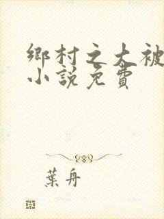 乡村之大被同眠小说免费