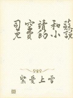 司空靖和苏月汐免费的小说笔趣阁