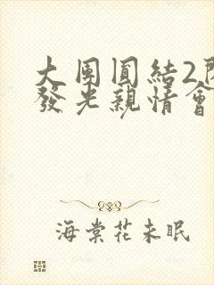 大团圆结2闪闪发光亲情会