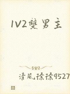 1V2双男主