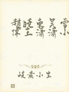 赵晓东吴雪晴郑伟王潇潇小说