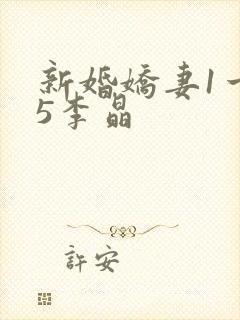 新婚娇妻1一25李晶封面