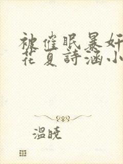 被催眠暴奸的校花夏诗涵小说