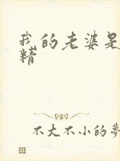 我的老婆是狐狸精