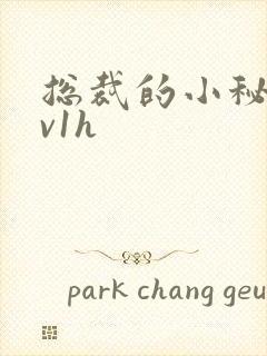 总裁的小秘书1v1h