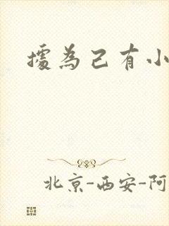 据为己有小说封面