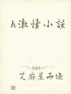 h激情小说