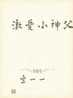 激爱小神父