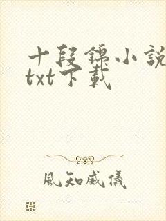十段锦小说全本txt下载