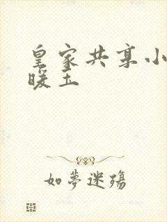 皇家共享小公主暖玉