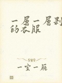 一层一层剥开我的衣服