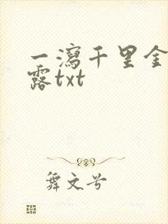 一泻千里金银花露txt