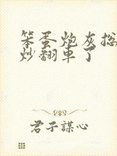 笨蛋炮灰总被爆炒翻车了