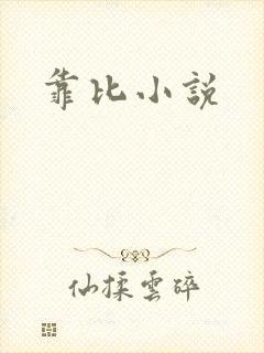 靠比小说