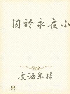 囚于永夜小说封面