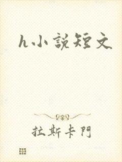 h小说短文