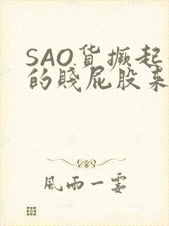 SAO货撅起你的贱屁股来封面