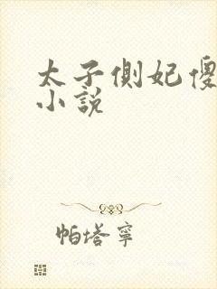 太子侧妃傻乎乎小说封面