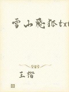 雪山飞狐txt封面