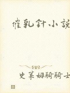催乳针小说