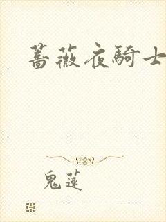 蔷薇夜骑士