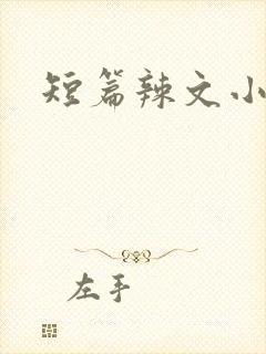 短篇辣文小说