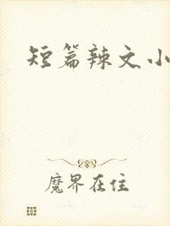 短篇辣文小说