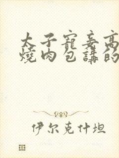 太子宠妾高肉红烧肉包讲的什么