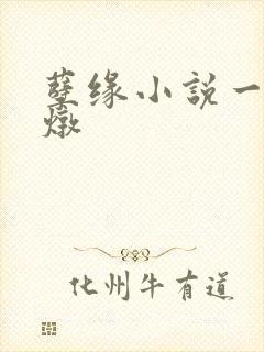 孽缘小说一家乱炖