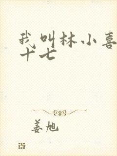 我叫林小喜今年十七