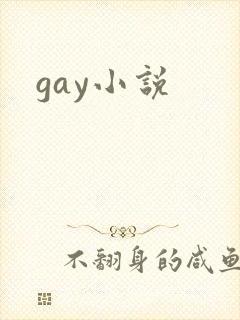 gay小说