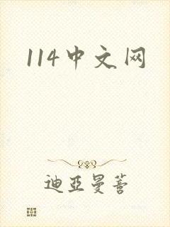 114中文网封面