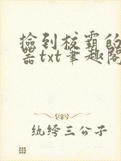 捡到校霸的遥控器txt笔趣阁