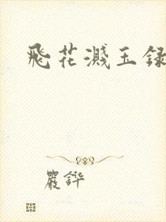 飞花溅玉录