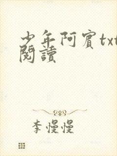 少年阿宾txt阅读