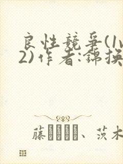 良性竞争(1v2)作者:锦换封面