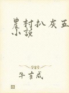 农村扒灰五十篇小说封面