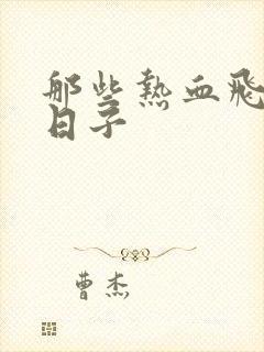 那些热血飞扬的日子封面