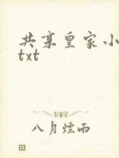 共享皇家小公主txt封面