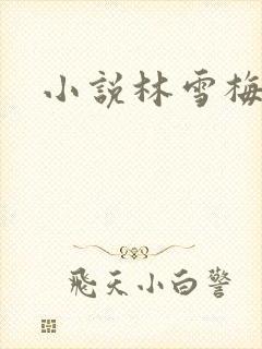 小说林雪梅