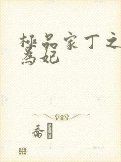 极品家丁之册母为妃封面